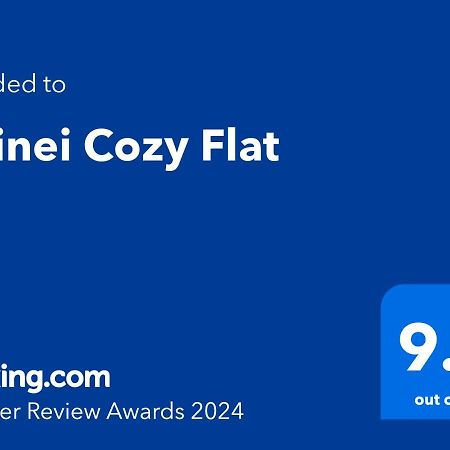 Апартаменты Doinei Cozy Flat Тимишоара Экстерьер фото