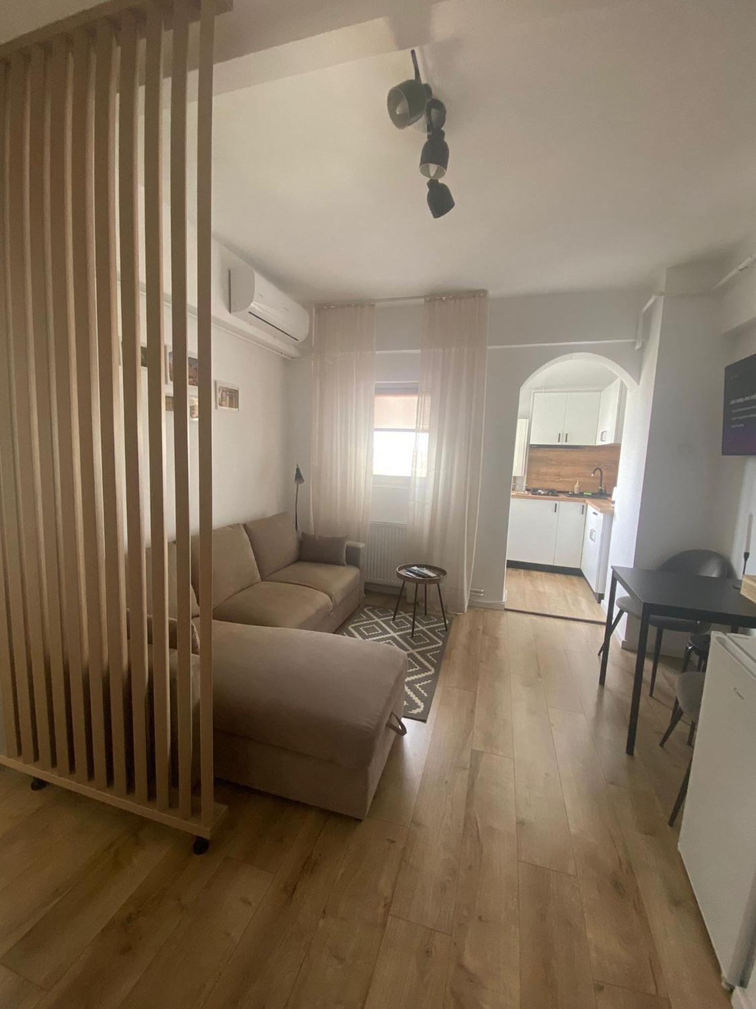 Апартаменты Doinei Cozy Flat Тимишоара Экстерьер фото