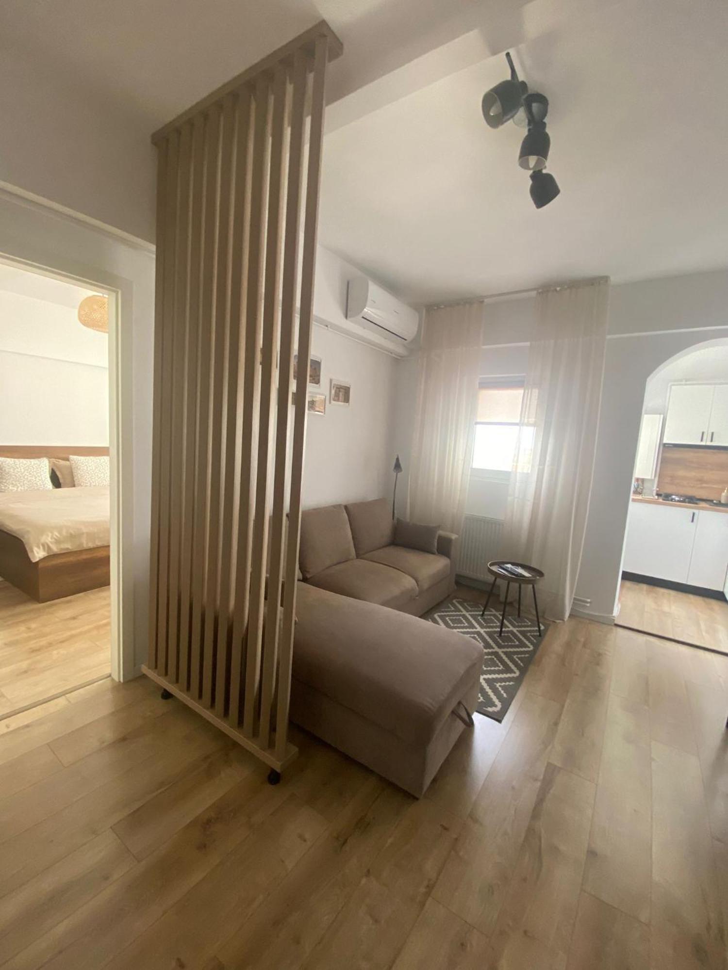 Апартаменты Doinei Cozy Flat Тимишоара Экстерьер фото